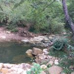 Source de la Madeleine